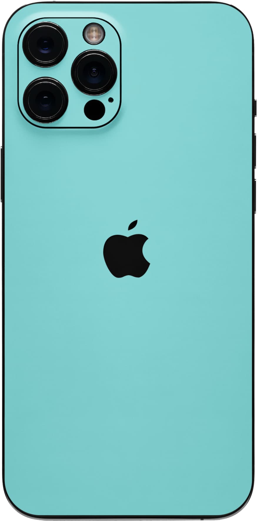 Apple iPhone 12 Pro Max Skin - Harmony and Love by Heidi Dobrott
